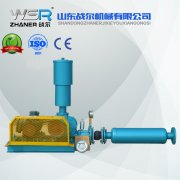 WSR-100除塵反吹羅茨鼓風(fēng)機