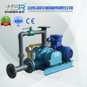 WSR-80化工行業(yè)專(zhuān)用羅茨鼓風(fēng)機(jī)